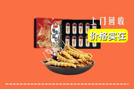 大同云州区回收冬虫夏草