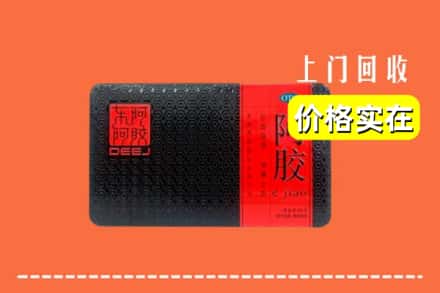大同云州区回收阿胶