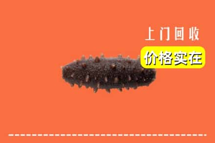 大同云州区回收海参